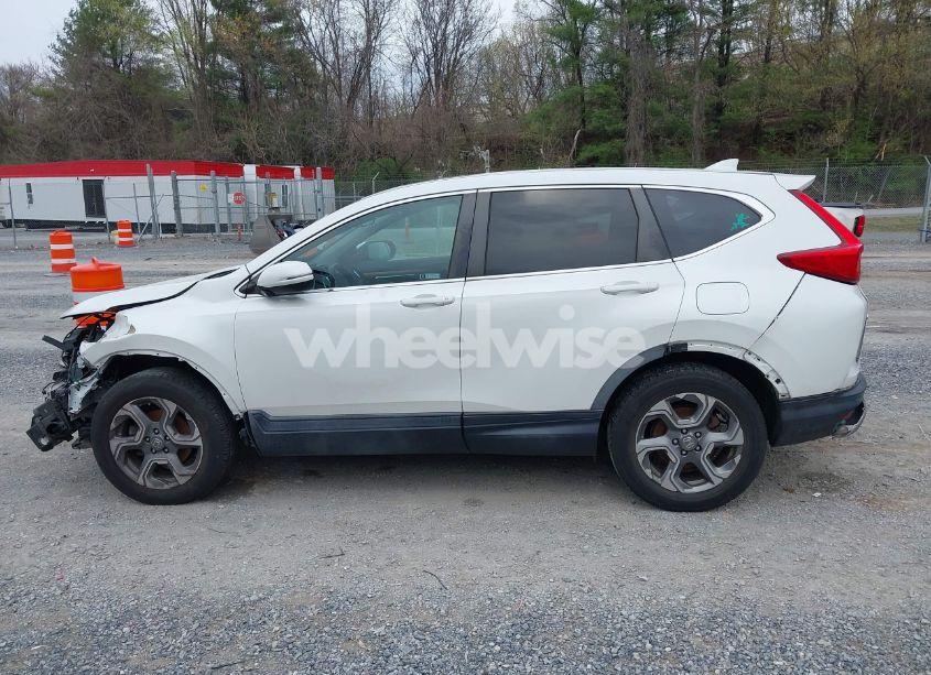 Photo 14 of 2019 Honda Cr-v EX (VIN JHLRW2H57KX018719)