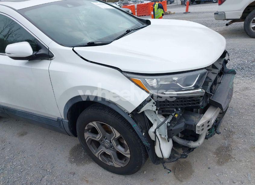 Photo 18 of 2019 Honda Cr-v EX (VIN JHLRW2H57KX018719)