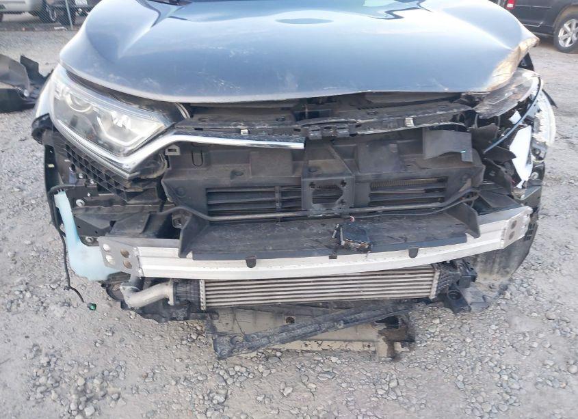 Photo 18 of 2019 Honda Cr-v EX (VIN JHLRW2H59KX017295)