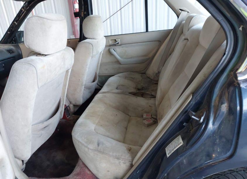 Photo 8 of 1991 Honda Accord LX/EX (VIN JHMCB7657MC027637)