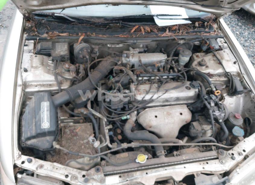 Photo 10 of 1995 Honda Accord LX (VIN JHMCD5635SC050795)