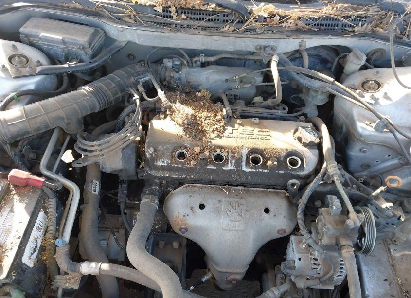 Photo 10 of 2000 Honda Accord 2.3 LX (VIN JHMCG5542YC041028)