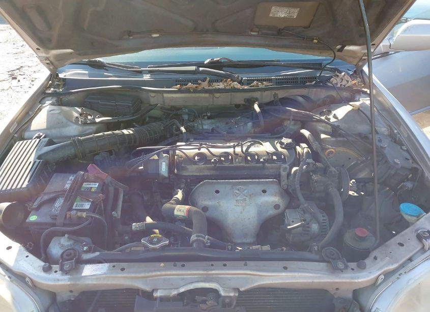 Photo 10 of 1999 Honda Accord LX (VIN JHMCG5640XC004654)