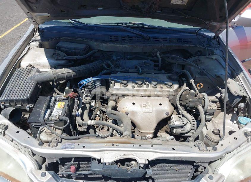 Photo 10 of 1999 Honda Accord LX (VIN JHMCG5643XC038779)