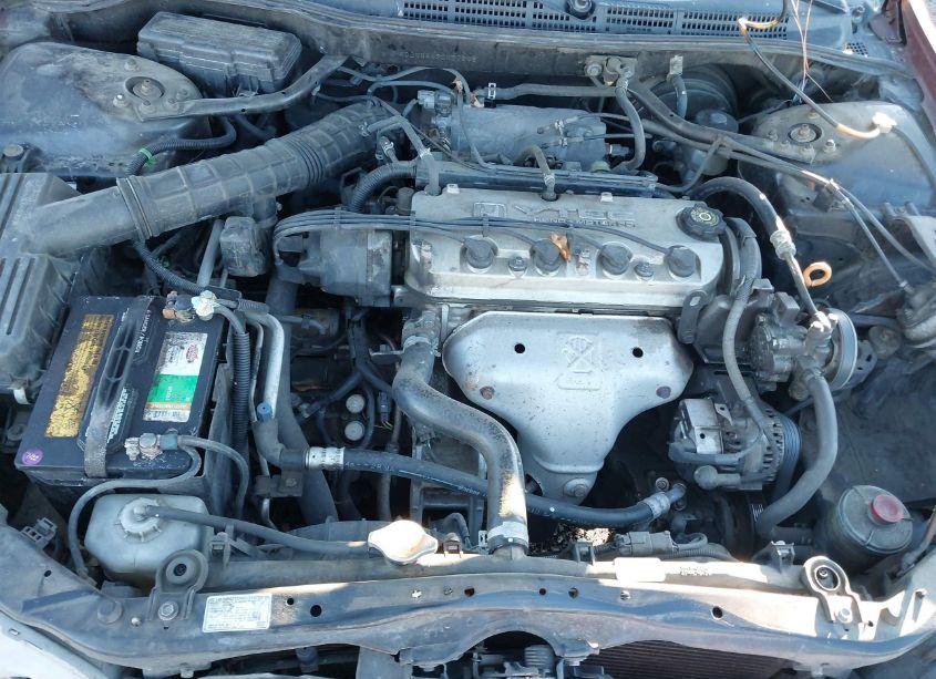 Photo 10 of 2002 Honda Accord 2.3 LX (VIN JHMCG56442C027248)