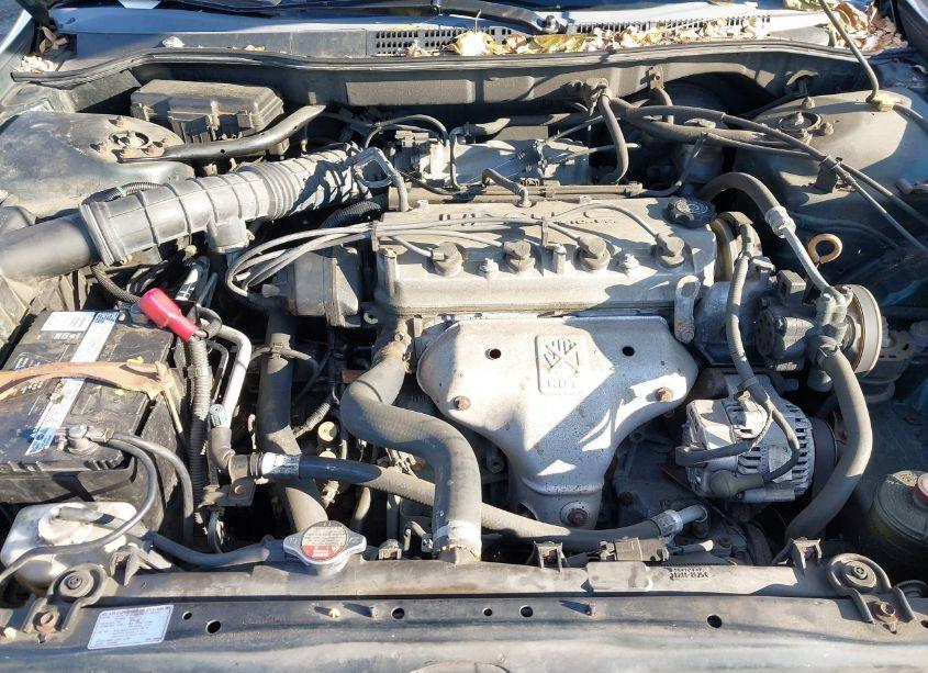 Photo 10 of 1999 Honda Accord LX (VIN JHMCG5644XC003989)