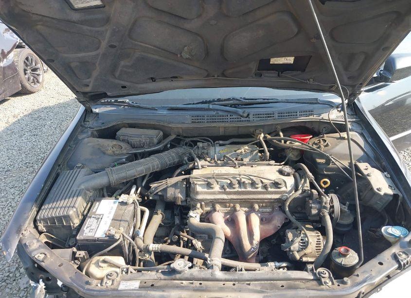 Photo 10 of 1999 Honda Accord LX (VIN JHMCG5649XC016270)