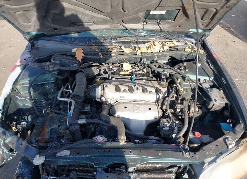 Photo 10 of 1999 Honda Accord LX (VIN JHMCG564XXC011756)