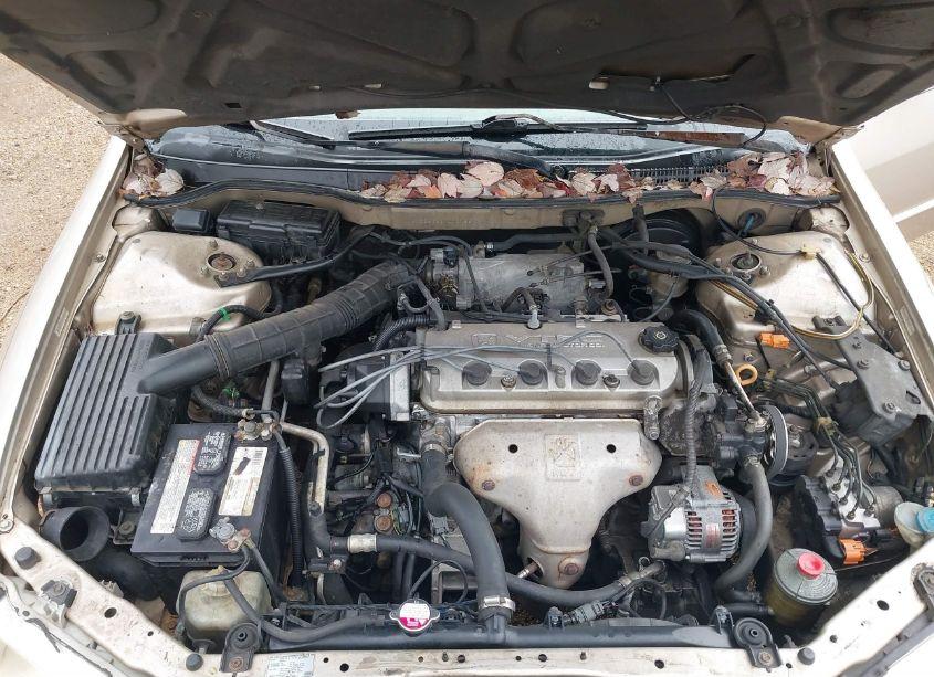 Photo 10 of 2001 Honda Accord 2.3 EX (VIN JHMCG56631C007881)