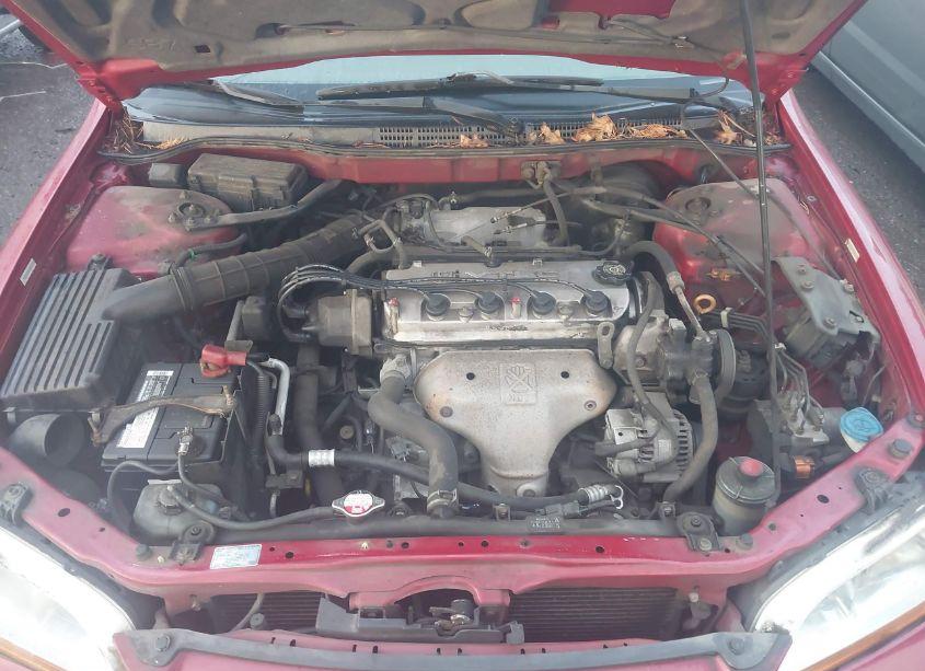 Photo 10 of 2002 Honda Accord 2.3 EX (VIN JHMCG56682C007473)