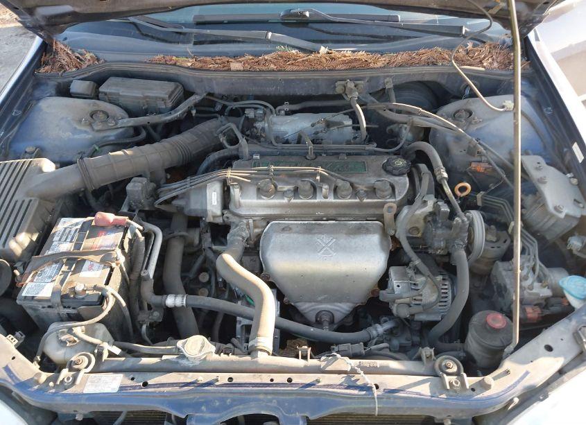 Photo 10 of 2002 Honda Accord 2.3 EX (VIN JHMCG66022C020236)