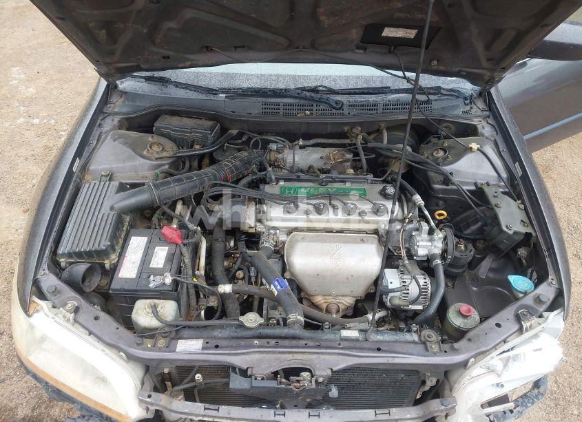 Photo 10 of 1999 Honda Accord LX (VIN JHMCG6658XC030675)