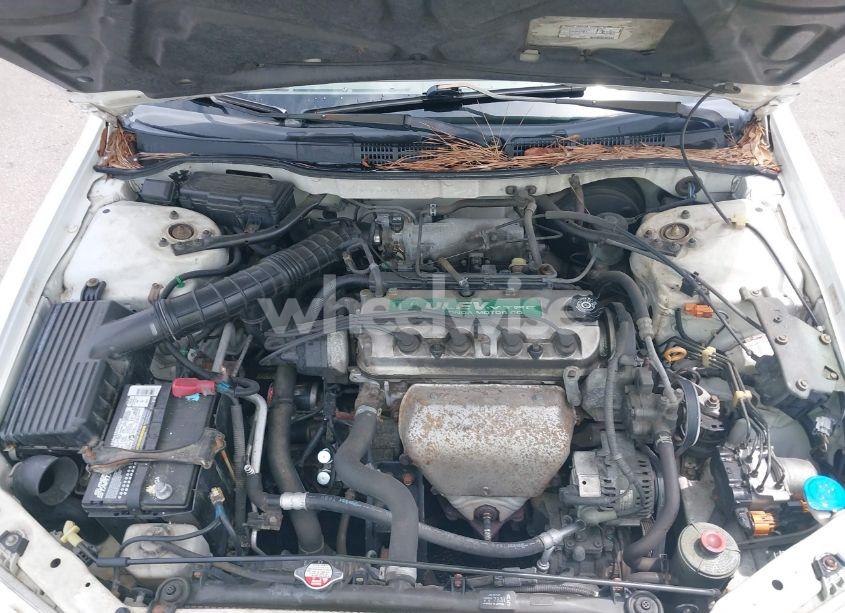 Photo 10 of 1999 Honda Accord EX (VIN JHMCG6679XC032257)