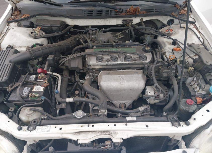 Photo 10 of 2001 Honda Accord 2.3 EX (VIN JHMCG66891C020531)