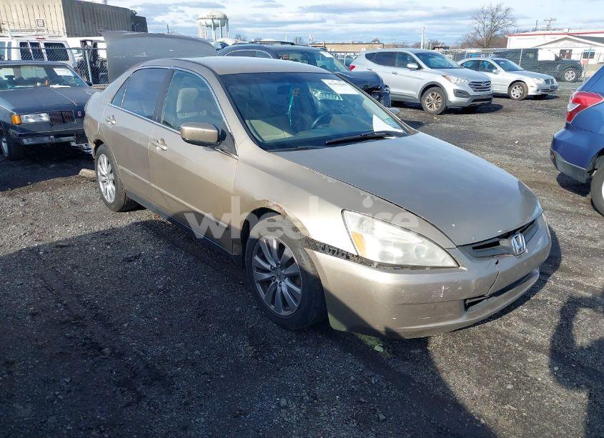 2003 Honda Accord 2.4 LX (VIN JHMCM56303C004597) main photo