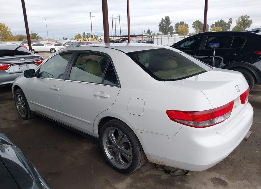 Photo 14 of 2003 Honda Accord 2.4 LX (VIN JHMCM56303C047787)