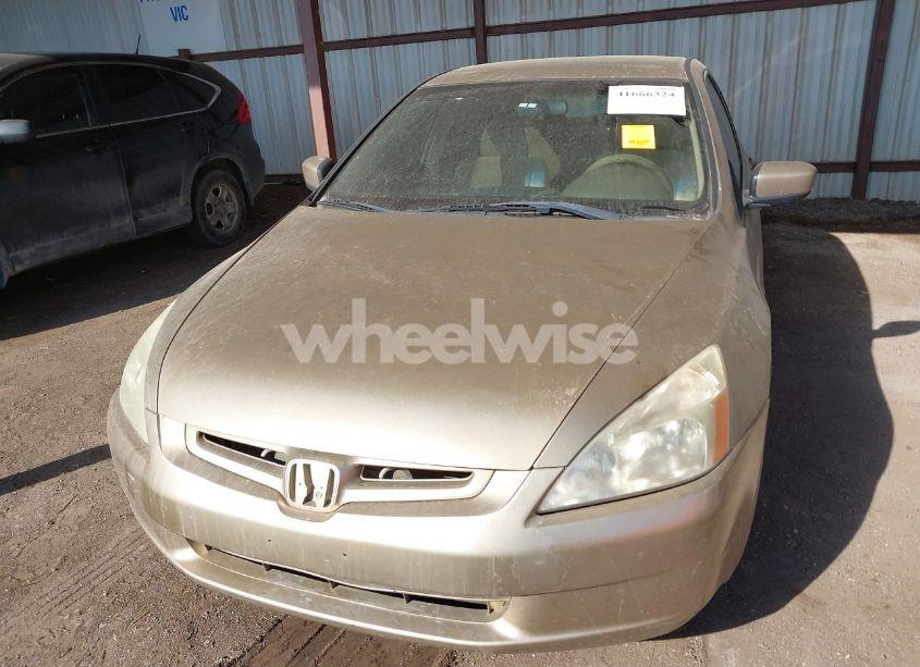 Photo 6 of 2004 Honda Accord 2.4 LX (VIN JHMCM56314C000981)