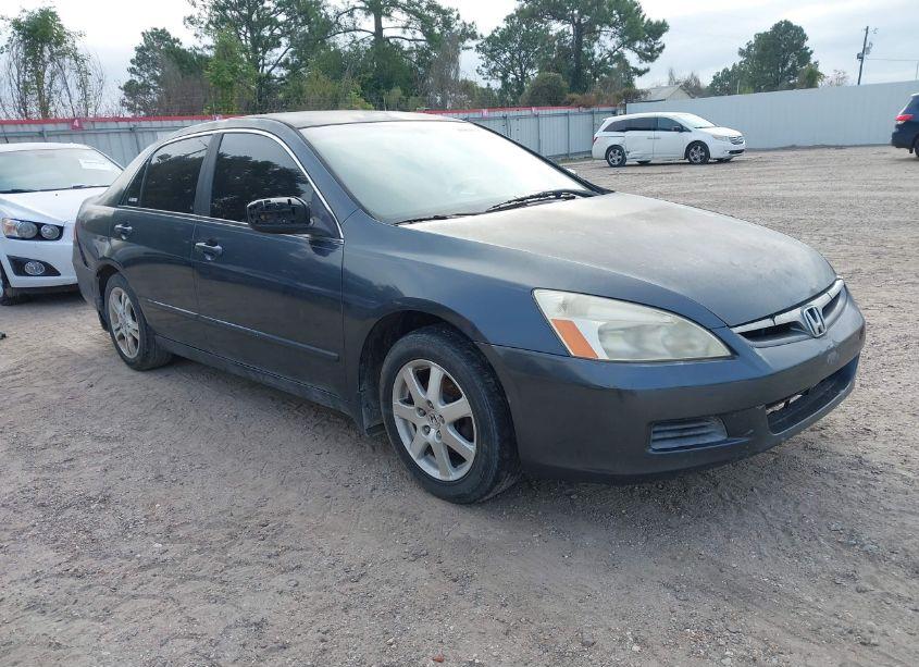 2007 Honda Accord 2.4 SE (VIN JHMCM56317C006042) main photo
