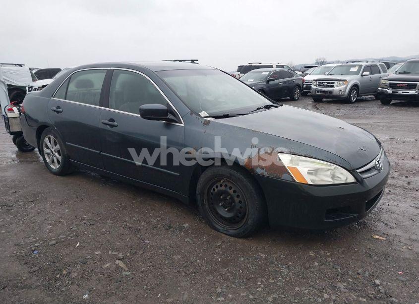2007 Honda Accord 2.4 SE (VIN JHMCM56387C021976) main photo