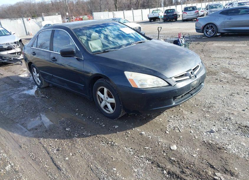 2003 Honda Accord 2.4 EX (VIN JHMCM56613C041555) main photo