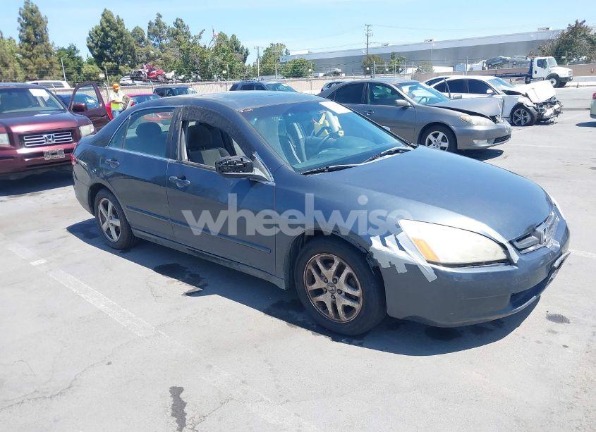 2004 Honda Accord 2.4 EX (VIN JHMCM56654C031578) main photo