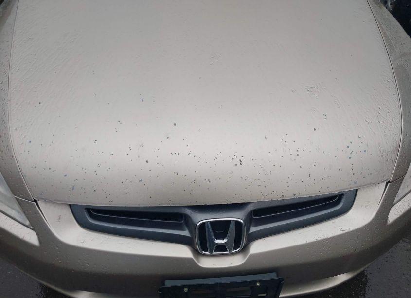 Photo 6 of 2004 Honda Accord 2.4 EX (VIN JHMCM56724C005349)