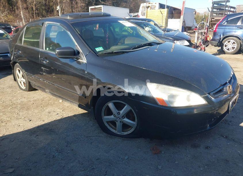 2003 Honda Accord 2.4 EX (VIN JHMCM56743C057354) main photo
