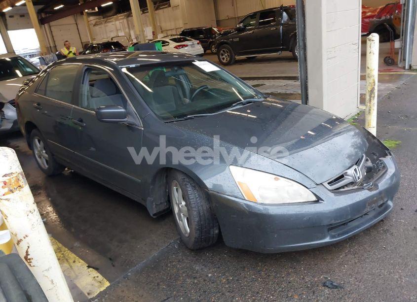 2005 Honda Accord EX (VIN JHMCM56755C007601) main photo
