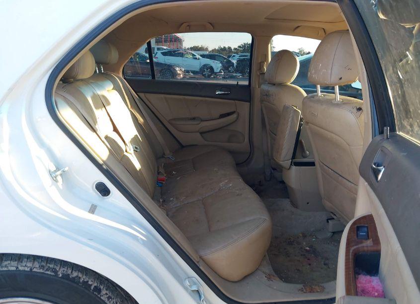 Photo 8 of 2006 Honda Accord 2.4 EX (VIN JHMCM56836C003668)