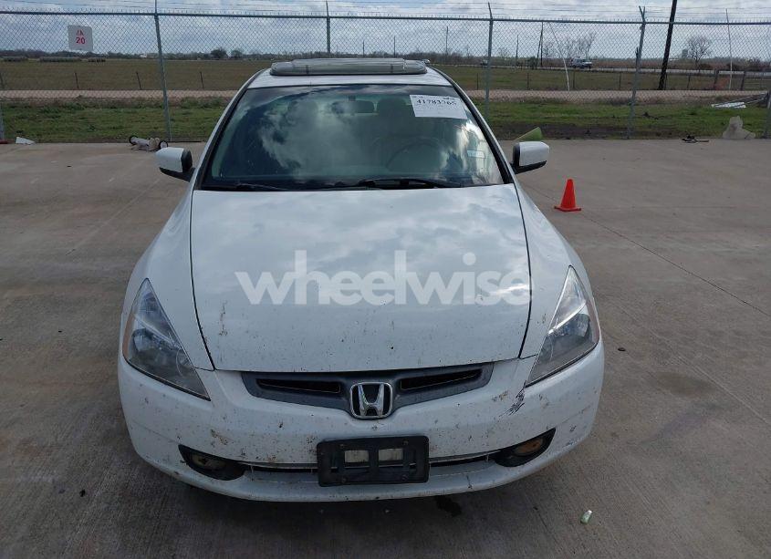 Photo 6 of 2004 Honda Accord 2.4 EX (VIN JHMCM56854C022087)