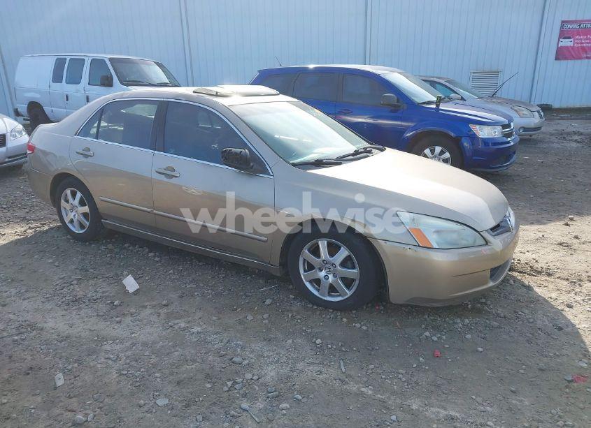2004 Honda Accord 2.4 EX (VIN JHMCM56884C007695) main photo