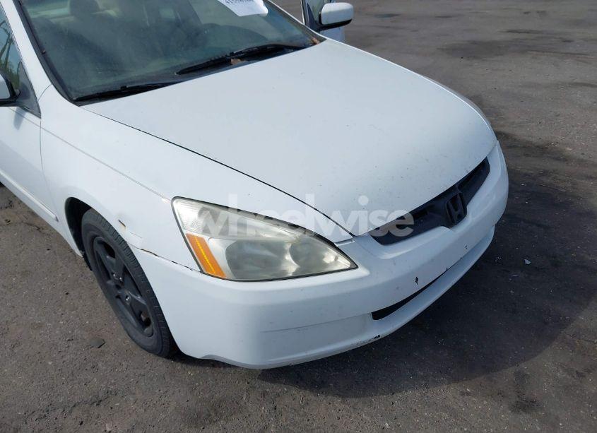 Photo 6 of 2005 Honda Accord HYBRID IMA (VIN JHMCN36455C006777)