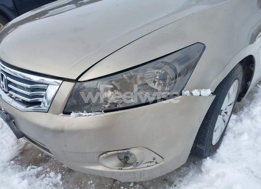 Photo 6 of 2008 Honda Accord 2.4 LX (VIN JHMCP26398C072555)