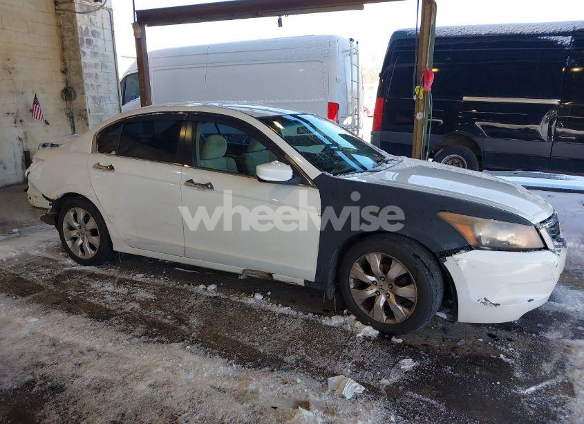 2008 Honda Accord 2.4 LX (VIN JHMCP263X8C073567) main photo