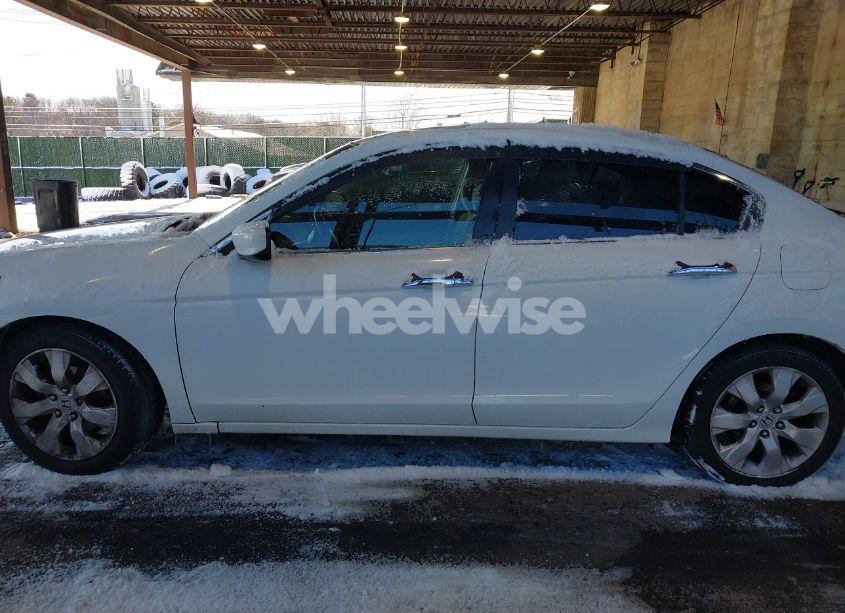 Photo 14 of 2008 Honda Accord 2.4 LX (VIN JHMCP263X8C073567)