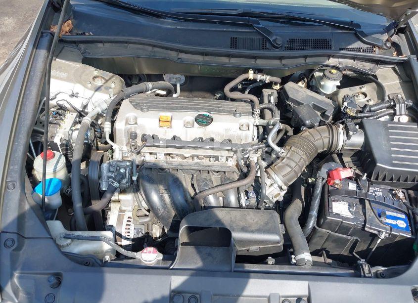 Photo 10 of 2008 Honda Accord 2.4 LX-P (VIN JHMCP26408C018957)