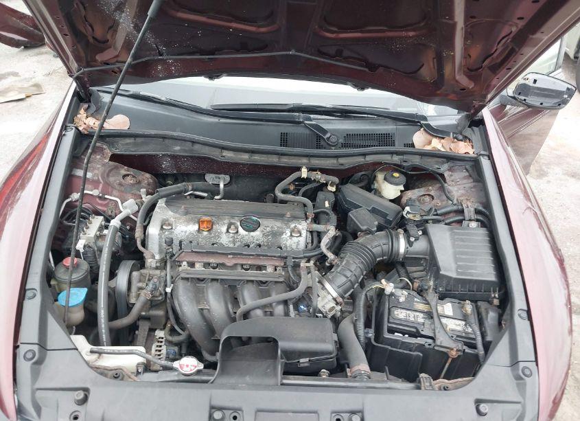 Photo 10 of 2008 Honda Accord 2.4 LX-P (VIN JHMCP26488C019063)