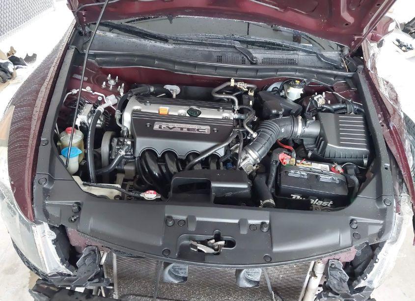 Photo 10 of 2008 Honda Accord 2.4 LX-P (VIN JHMCP26498C077294)