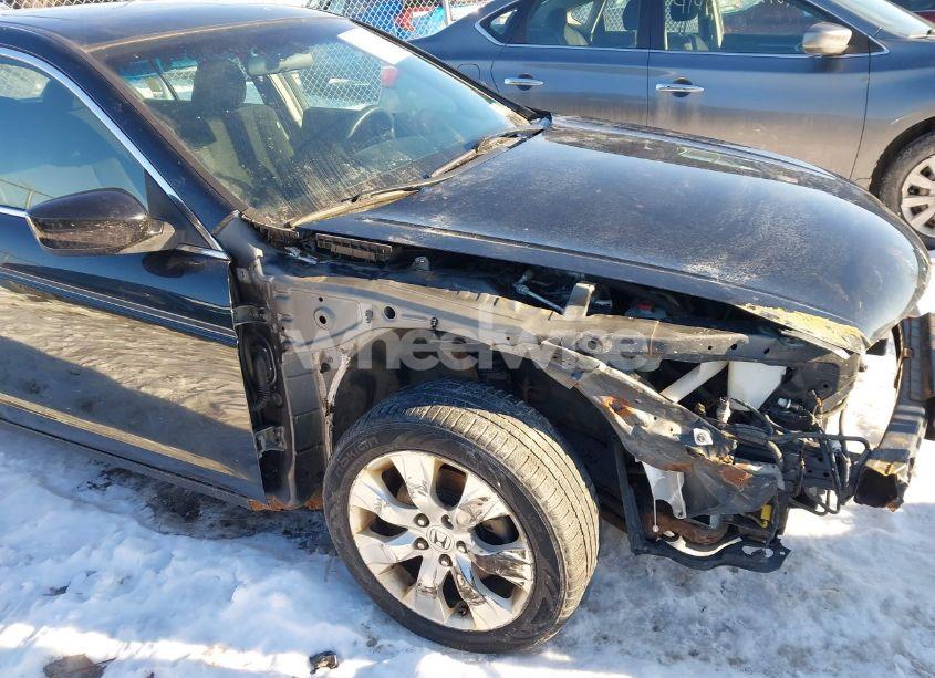 Photo 15 of 2009 Honda Accord 2.4 EX (VIN JHMCP26759C014043)