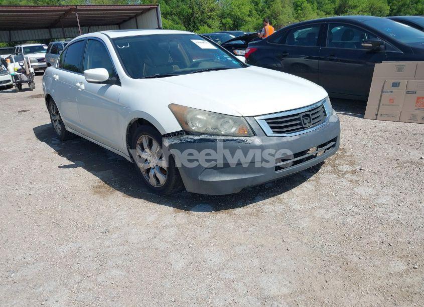 2008 Honda Accord 2.4 EX (VIN JHMCP26798C071473) main photo