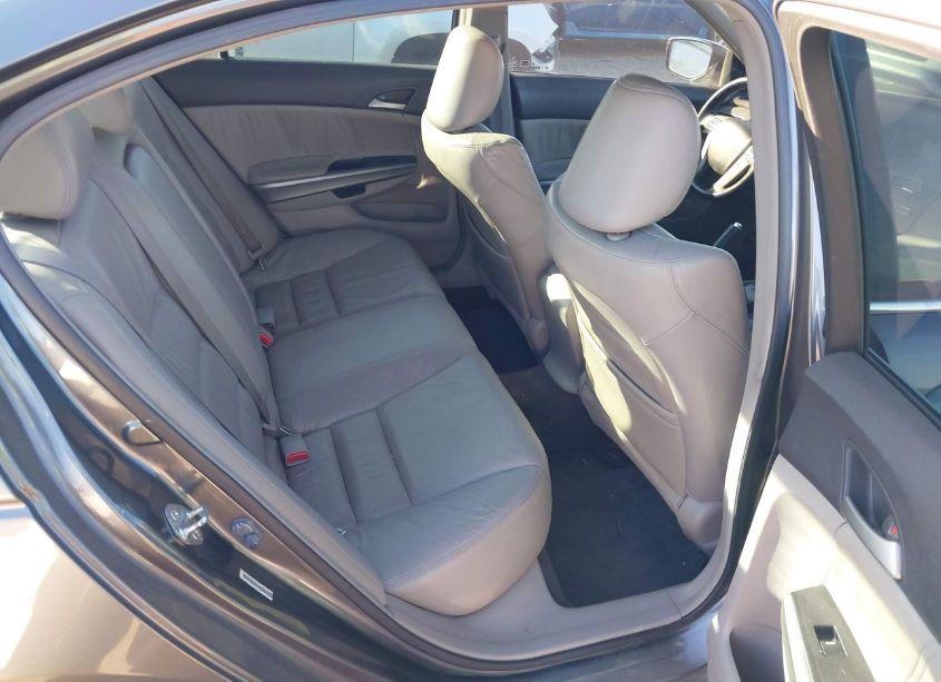 Photo 8 of 2008 Honda Accord 2.4 EX-L (VIN JHMCP26808C022784)