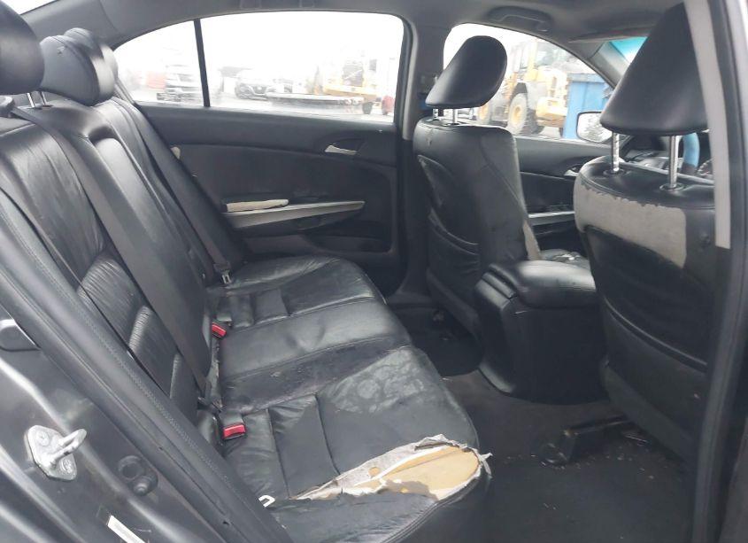 Photo 8 of 2009 Honda Accord 2.4 EX-L (VIN JHMCP26809C015528)