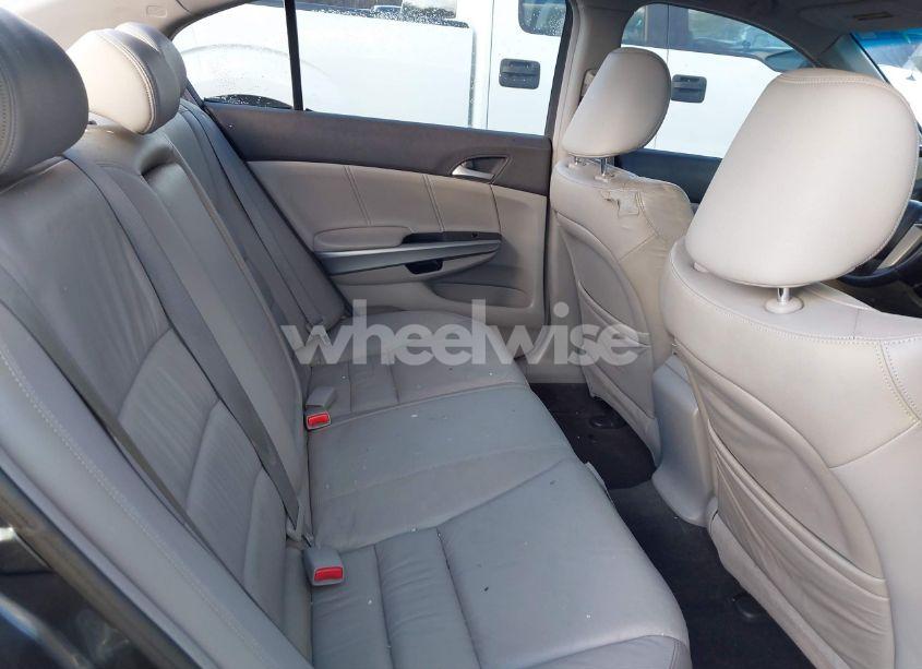 Photo 8 of 2008 Honda Accord 2.4 EX-L (VIN JHMCP26828C012824)