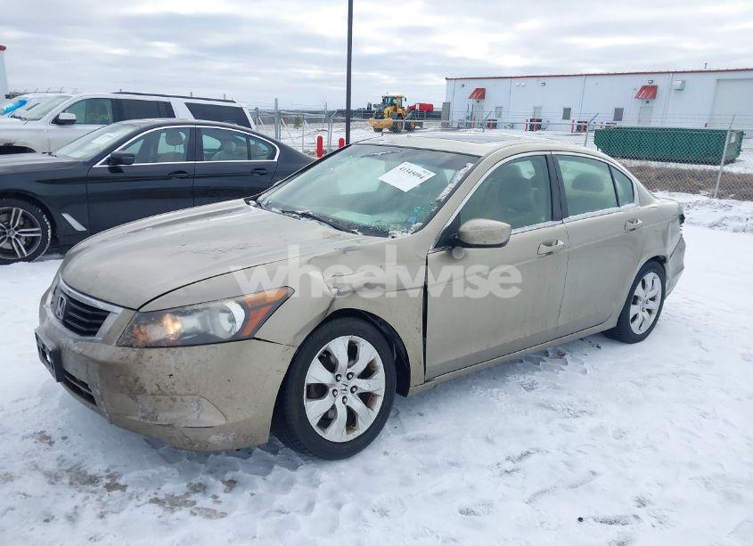 Photo 2 of 2008 Honda Accord 2.4 EX-L (VIN JHMCP26828C028957)