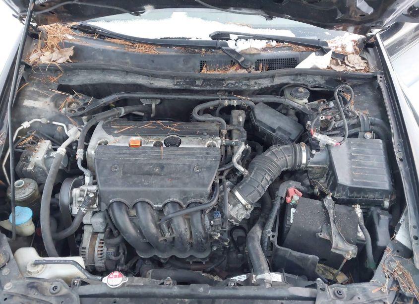 Photo 10 of 2008 Honda Accord 2.4 EX-L (VIN JHMCP26838C026151)