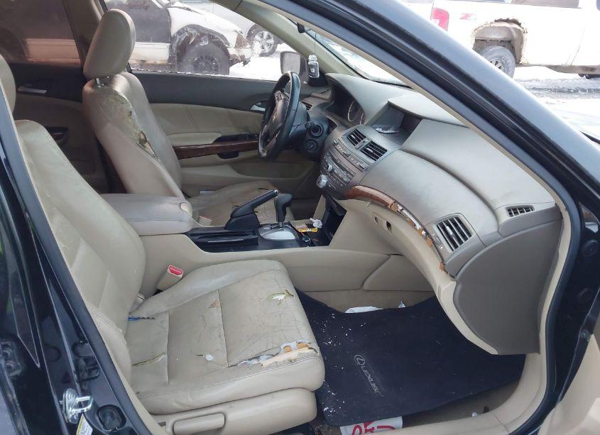 Photo 5 of 2008 Honda Accord 2.4 EX-L (VIN JHMCP26838C026151)