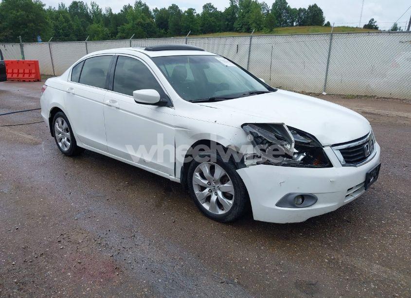 2008 Honda Accord 2.4 EX-L (VIN JHMCP26838C065662) main photo