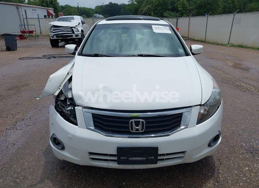 Photo 12 of 2008 Honda Accord 2.4 EX-L (VIN JHMCP26838C065662)