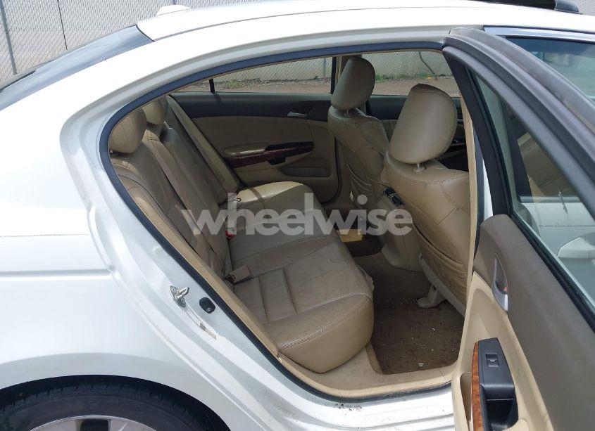 Photo 8 of 2008 Honda Accord 2.4 EX-L (VIN JHMCP26838C065662)