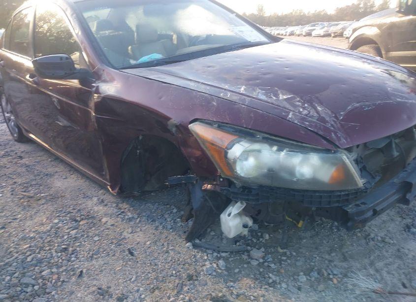 Photo 6 of 2008 Honda Accord 2.4 EX-L (VIN JHMCP26848C049289)